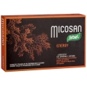 Santiveri Micosan Energy 40 kapsulas Santiveri Micosan Energy 40 kapsulas