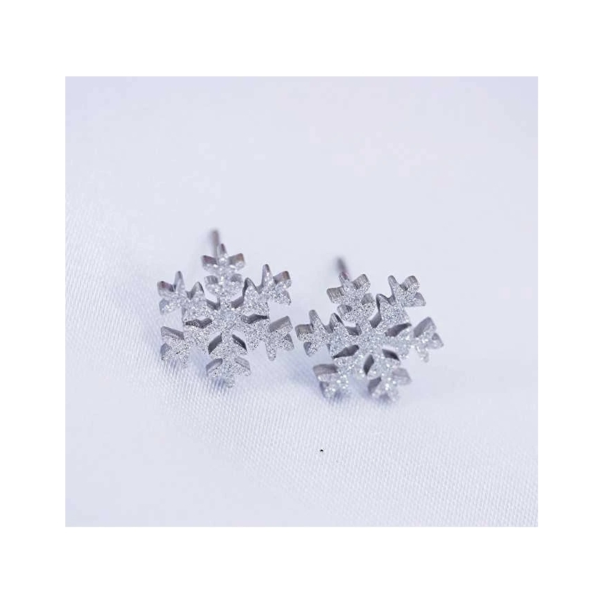 Troli Glittering steel earrings Snowflake KE-013 – 2