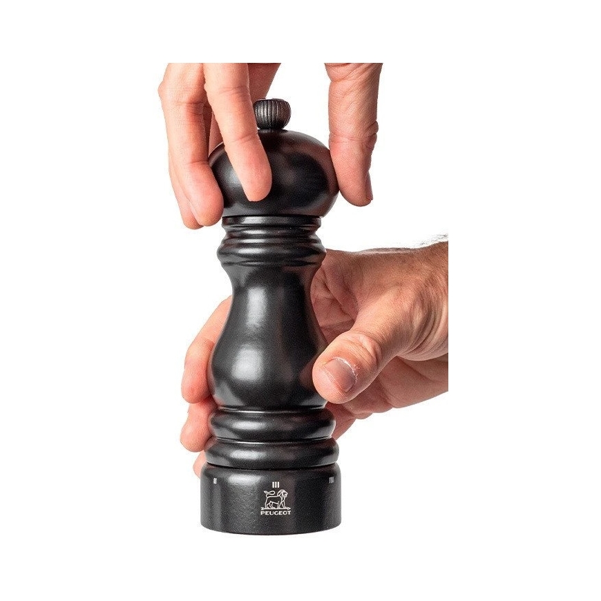 Peugeot soolamootor, 18 cm, satiinmust, uSelect Z, Paris – 2