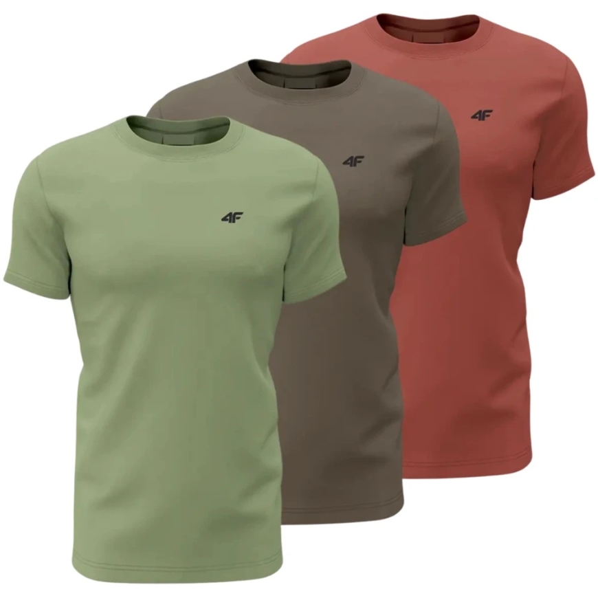 Meeste T-särk 4F M4480 roheline, pruun, burgund 4FWSS26TTSHM4480 90S (3XL)