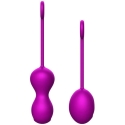 B Series Fox B Series Fox Set Kegel Balls for Exercises 3 pcs B Series Fox B Series Fox Set Kegel Balls for Exercises 3 pcs