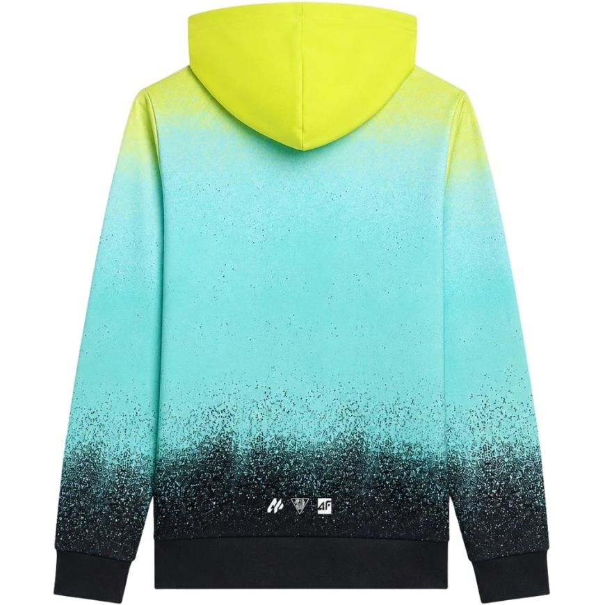 Multicolor kapuutsärk poistele 4F M3184 4FJWSS26TSWSM3184 90A 164cm – 2