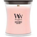 Woodwick Pakrantė päevalill