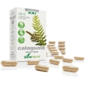 Soria 8-S Calaguala 310 Mg 30 Prolonged Release Capsules