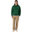 Men's Champion Hooded Sweatshirt green 221790 GS559 (M)