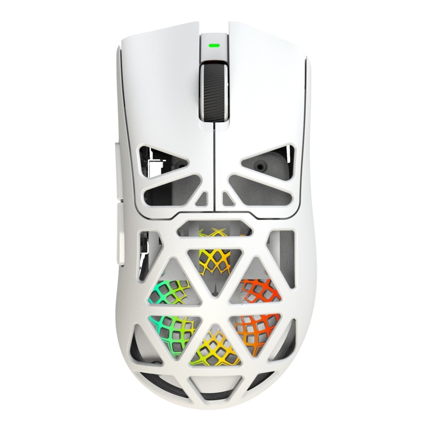 White Shark MORIEN WGM-5025 Белый