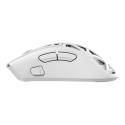 White Shark MORIEN WGM-5025 Valkoinen White Shark MORIEN WGM-5025 Valkoinen