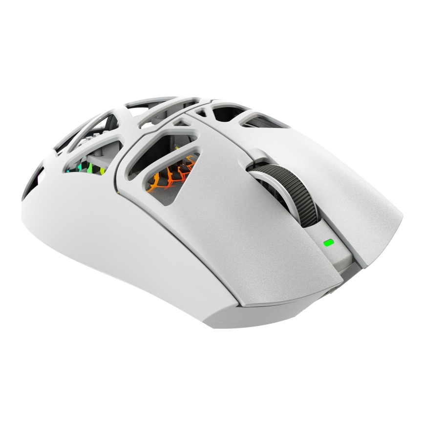 White Shark MORIEN WGM-5025 Белый – 4