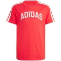 Laste T-särk adidas Codes Collegiate Graphic punane JI6673 (164cm)
