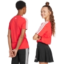 Lasten T-paita adidas Codes Collegiate Graphic punainen JI6673 (164cm) Lasten T-paita adidas Codes Collegiate Graphic punainen JI6673 (164cm)