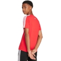 Laste T-särk adidas Codes Collegiate Graphic punane JI6673 (164cm)