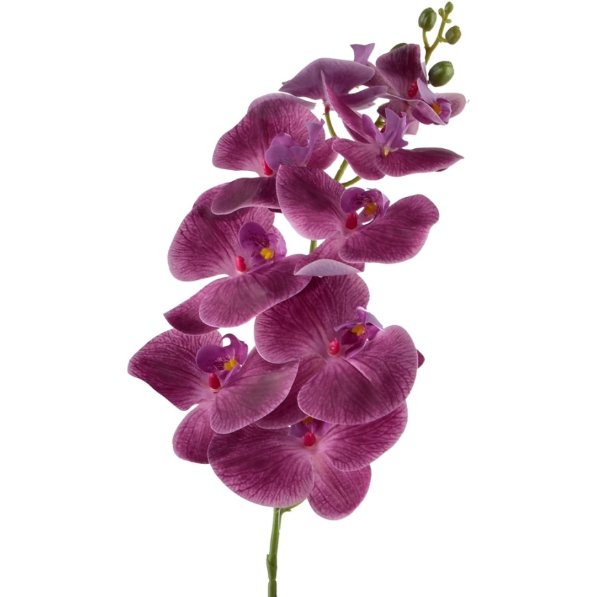 Mondex Since 1986 VIRIDIS кольцевая ветка орхидеи 90 см