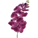 Mondex Since 1986 VIRIDIS žiedinė orchidėjos šakelė 90 cm Mondex Since 1986 VIRIDIS žiedinė orchidėjos šakelė 90 cm
