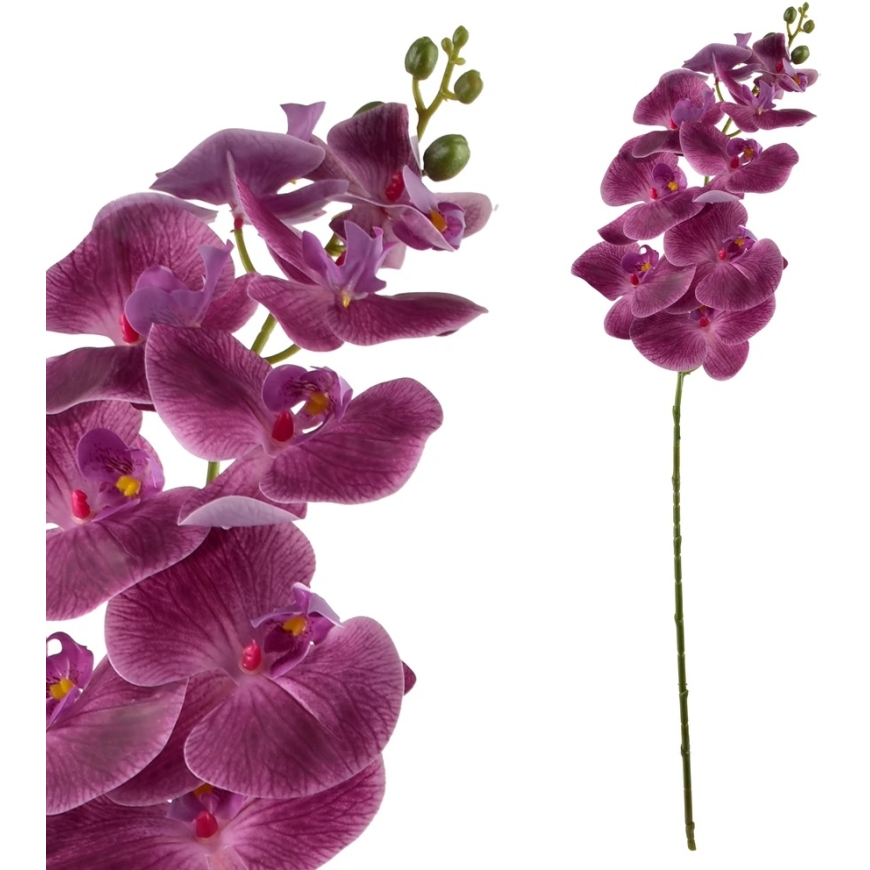Mondex Since 1986 VIRIDIS rõngas orhidee oks 90 cm – 2