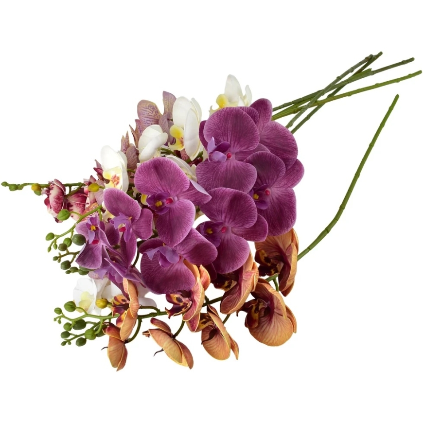 Mondex Since 1986 VIRIDIS rõngas orhidee oks 90 cm – 3