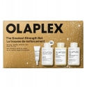 Olaplex Vislielākās Spēcības Komplekts (galvas ādas losjons, 5 ml + matu šampūns, 100 ml + matu maska, 100 ml + matu kondicionie Olaplex Vislielākās Spēcības Komplekts (galvas ādas losjons, 5 ml + matu šampūns, 100 ml + matu maska, 100 ml + matu kondicionie