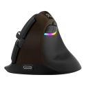 Delux M618Mini Gold Эргономическая мышь (USB / Bluetooth / 2.4G) Delux M618Mini Gold Эргономическая мышь (USB / Bluetooth / 2.4G)