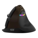 Delux M618Mini Gold Ergonomic Mouse (USB / Bluetooth / 2.4G) Delux M618Mini Gold Ergonomic Mouse (USB / Bluetooth / 2.4G)