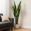 Home Styling Collection Artificial plant in sand-colored pot ORNO, Ø 65 x 120 cm Home Styling Collection Artificial plant in sand-colored pot ORNO, Ø 65 x 120 cm