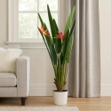Home Styling Collection Dirbtinis augalas smėlio spalvos vazone ORNO, Ø 65 x 120 cm Home Styling Collection Dirbtinis augalas smėlio spalvos vazone ORNO, Ø 65 x 120 cm