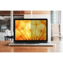 3M BP173W9B display privacy filter 43.9 cm (17.3") Laptop Frameless display privacy filter 3M BP173W9B display privacy filter 43.9 cm (17.3") Laptop Frameless display privacy filter