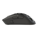 White Shark MORIEN WGM-5025 Черный White Shark MORIEN WGM-5025 Черный