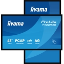 iiyama T4329AS-B1AG computer monitor 108 cm (42.5") 3840 x 2160 pixels 4K Ultra HD LED Touchscreen B