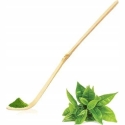Moya Matcha Chashaku - Chashaku Matcha -lusikka