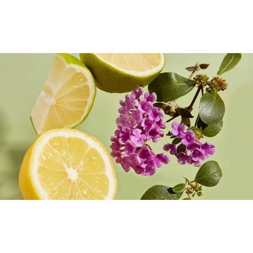 HAAN Rutulinis dezodorantas "Purifying Verbena", 40ml – 5
