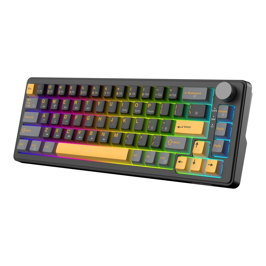 Baltais Haizivs EXCALIBUR M GK-009151 Melns ASV – 2