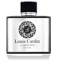 Louis Cardin Lumination EDP parfumuotas vanduo vyrams, 100 ml Louis Cardin Lumination EDP parfumuotas vanduo vyrams, 100 ml