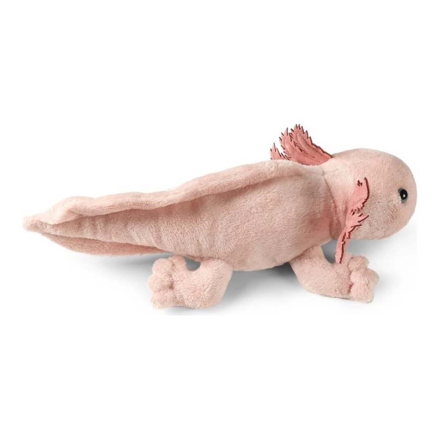 Rappa Ekologinen Pehmolelu - Aksolotli, 33 cm – 5
