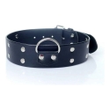 Fetish B Series Erotic Leather Collar, Adjustable, Pins, 4 cm Fetish B Series Erotic Leather Collar, Adjustable, Pins, 4 cm