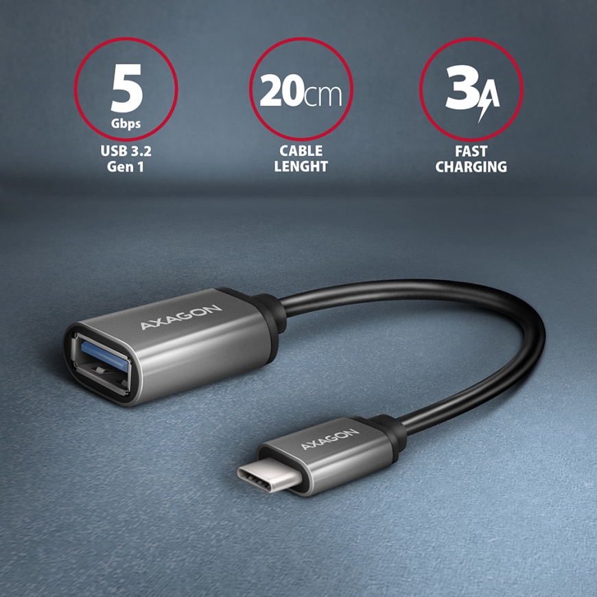Axagon RUCM-AFAC kabelių lizdinio / kištukinio jungčių tipo keitiklis USB C USB A Pilka – 2