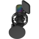 Carruzzo HATOR Dreamcast X Juoda Tinklalaidžių mikrofonas