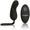 Calexotics Egg/Remote Rechargeable Curve Black Calexotics Egg/Remote Rechargeable Curve Black