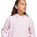 adidas Essentials Hoodie lastele roosa JC9773 (140cm) adidas Essentials Hoodie lastele roosa JC9773 (140cm)