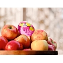Donna Karan DKNY Be Delicious Orchard EDP lõhnaõli, 30 ml Donna Karan DKNY Be Delicious Orchard EDP lõhnaõli, 30 ml