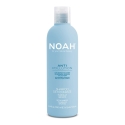Noah Anti Pollution Detox Šampūns Tīrošs-Mitrinošs šampūns ar alvejas un eļļas moringas ekstraktiem, 250 ml