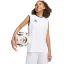 adidas Entrada 26 Lühikeste Varrukatega Jersei lastele valge KB3935 (164cm)