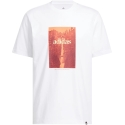 adidas Waterfall Graphic Miesten T-paita valkoinen KH0398 (2XL) adidas Waterfall Graphic Miesten T-paita valkoinen KH0398 (2XL)