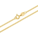 Brilio Silver Auksuota Rolo grandinėlė CN007Y