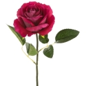 Eurofirany KW/NATU/361/AMA AMAR Eurofirany KW/NATU/361/AMA AMAR