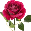 Eurofirany KW/NATU/361/AMA AMAR Eurofirany KW/NATU/361/AMA AMAR