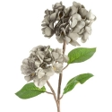 Eurofirany KW/FLORE/872/POP POPI Eurofirany KW/FLORE/872/POP POPI