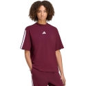 Moteriški marškinėliai adidas Essentials 3-Stripes Boyfriend bordinė KF6287 (M) Moteriški marškinėliai adidas Essentials 3-Stripes Boyfriend bordinė KF6287 (M)