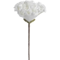 Eurofirany KW/FLORE/836/B B Eurofirany KW/FLORE/836/B B
