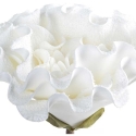 Eurofirany KW/FLORE/836/B B Eurofirany KW/FLORE/836/B B
