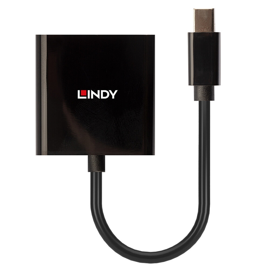 Lindy 41736 гендерный адаптер Mini DisplayPort DVI-D Черный – 2