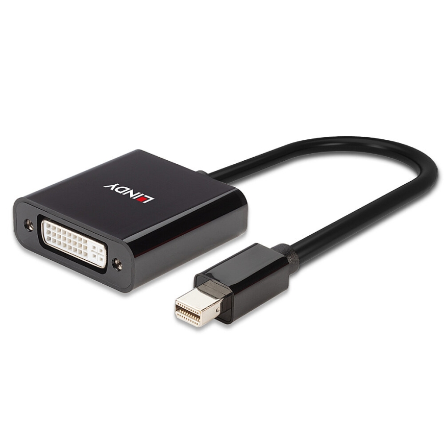 Lindy Mini DisplayPort to DVI Active Converter – 5
